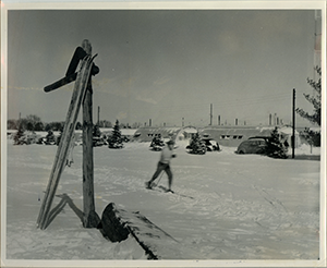 Snow Scene with Cross Country Skier